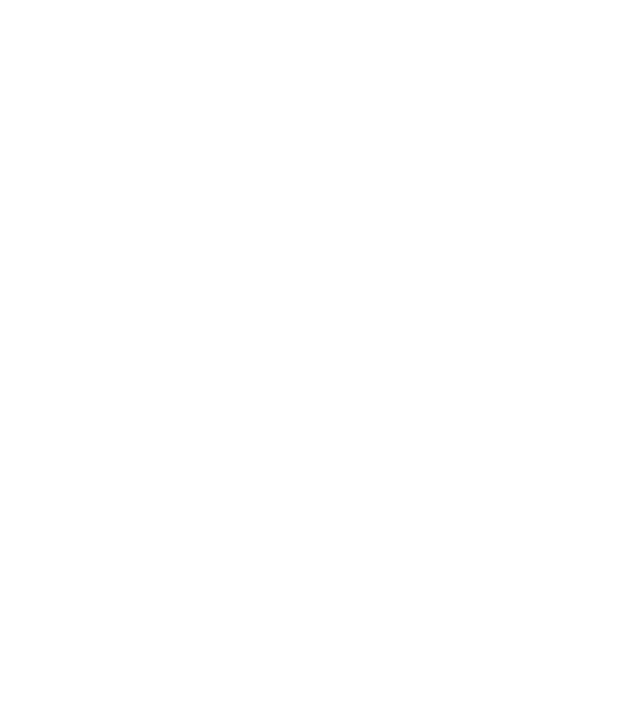 Publi Efectiva